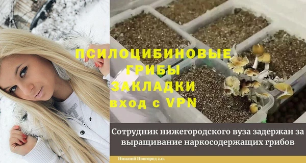 мяу мяу мука Алексеевка