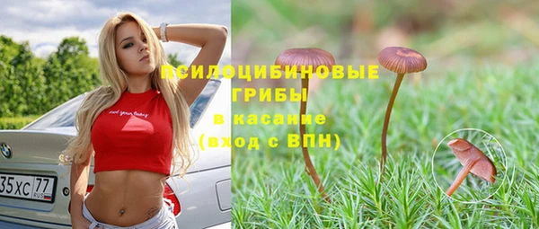 тгк Алексин