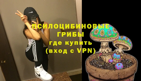 мяу мяу мука Алексеевка