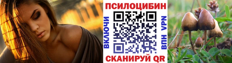 Галлюциногенные грибы Psilocybe  Бабаево 