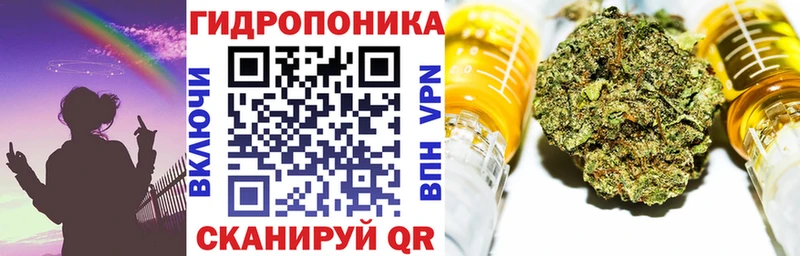 мориарти какой сайт  mega сайт  Бабаево  закладки  Шишки марихуана сатива 