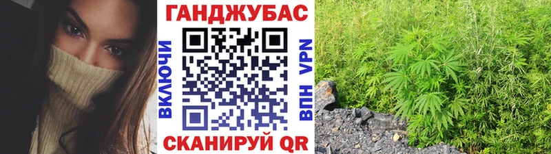 Бошки марихуана план Бабаево